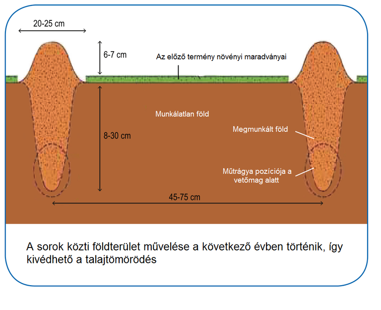 foldmunkalasrajzHU.png