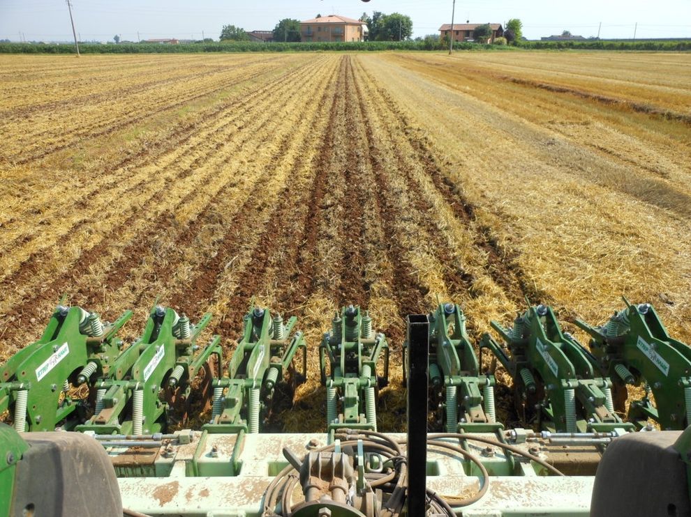 Strip till technique